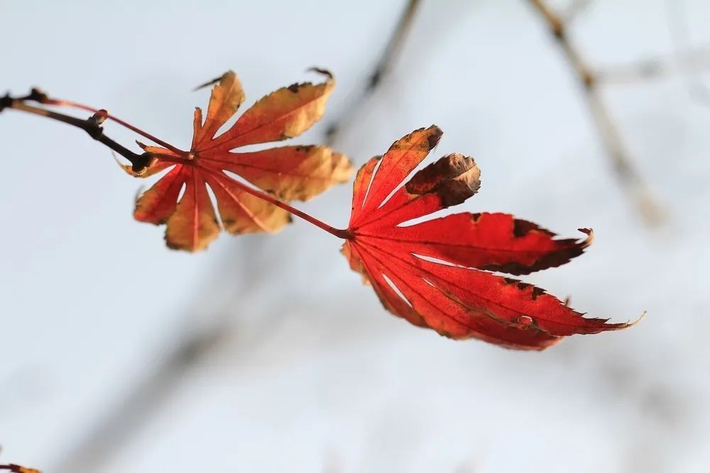 用生命温暖生命，重庆松山公益医务社工 3 月深入开展全人健康服务