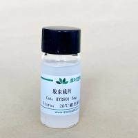 载番茄红素纳米胶束