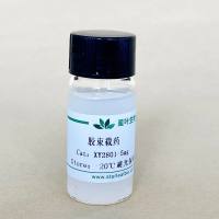 载姜黄素纳米胶束
