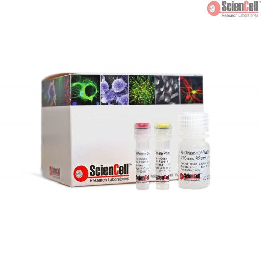 TUNEL色标法细胞凋亡检测试剂盒
