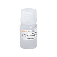RNAsafe-ICE 冰冻动植物组织RNA稳定-过渡溶液