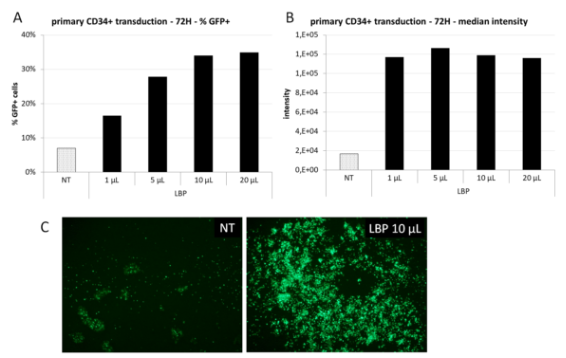 艾美捷OZ Biosciences慢粒细胞高级转导试剂解决方案 艾美捷OZ Biosciences慢粒细胞高级转导试剂解决方案