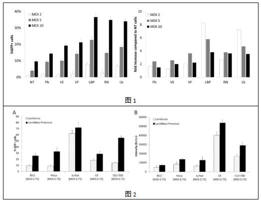中英文说明丨艾美捷OZ Biosciences慢粒细胞高级转导试剂 中英文说明丨艾美捷OZ Biosciences慢粒细胞高级转导试剂