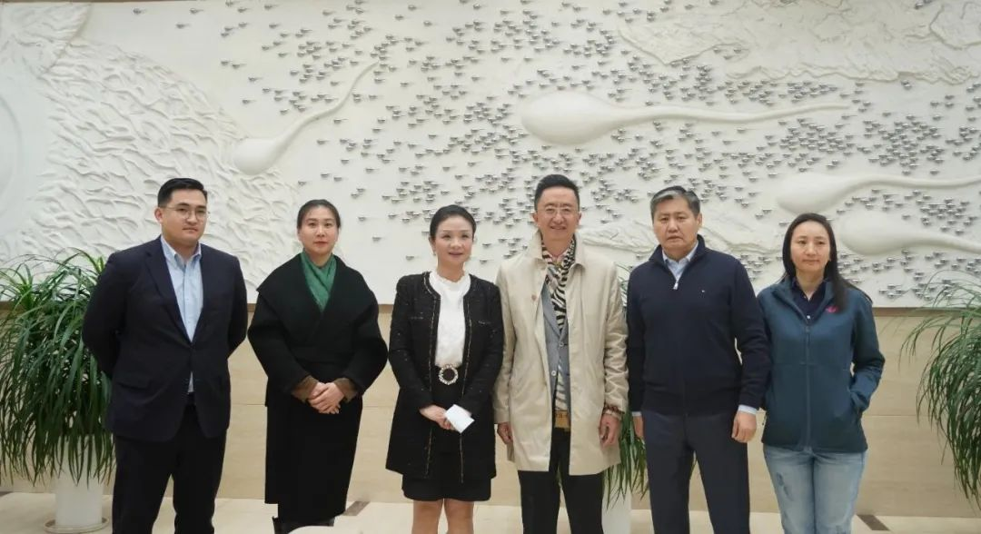 蒙古国驻华大使图布辛·巴德尔勒一行参访重庆海扶医院