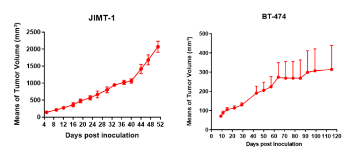 小技巧，大不同｜高度均一的移植瘤接种方法揭秘