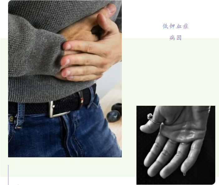 细胞内大户——钾，丢失了怎么办？