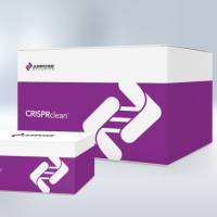 CRISPRclean Plus Stranded Total RNA Prep