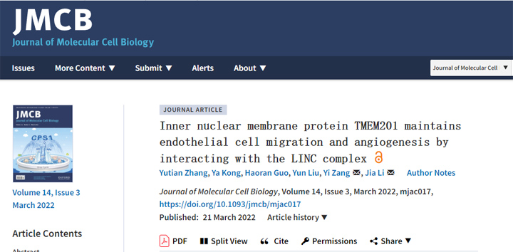 助力高分科研文章发表之三丨看环特斑马鱼技术如何助力各类疾病研究！