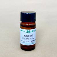 红细胞膜载黄岑素