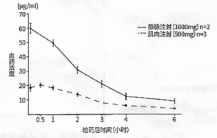 图片预览