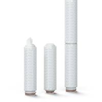 Pharmsteri™ PTFE筒式过滤器