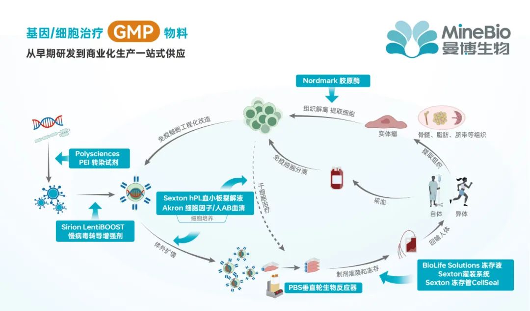 细胞治疗安全性考量-细胞培养血替的辐照会影响性能吗？