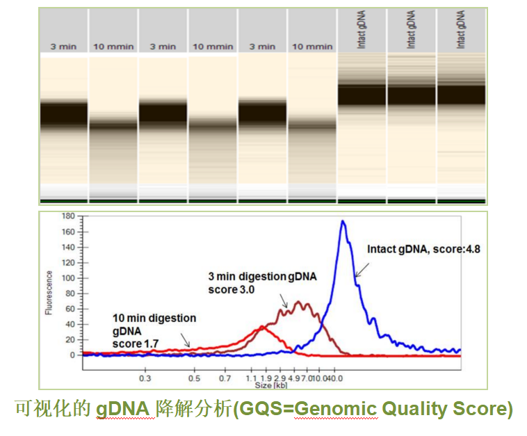 LabChip® GX Touch™核酸分析仪_报价/价格/性能参数/图, revvity_生物器材网