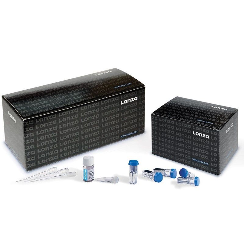 LONZA VCA-1003细胞系转染试剂盒V Cell Line Nucleofector™ Kit V25次/盒