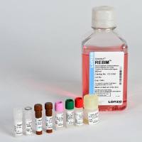 LONZA CC-3190REGM肾上皮细胞培养基套装(CC-3191+CC-4127)