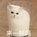 user-title