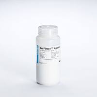 LONZA 50101 SeaPlaque 琼脂糖SeaPlaque™ Agarose 25G