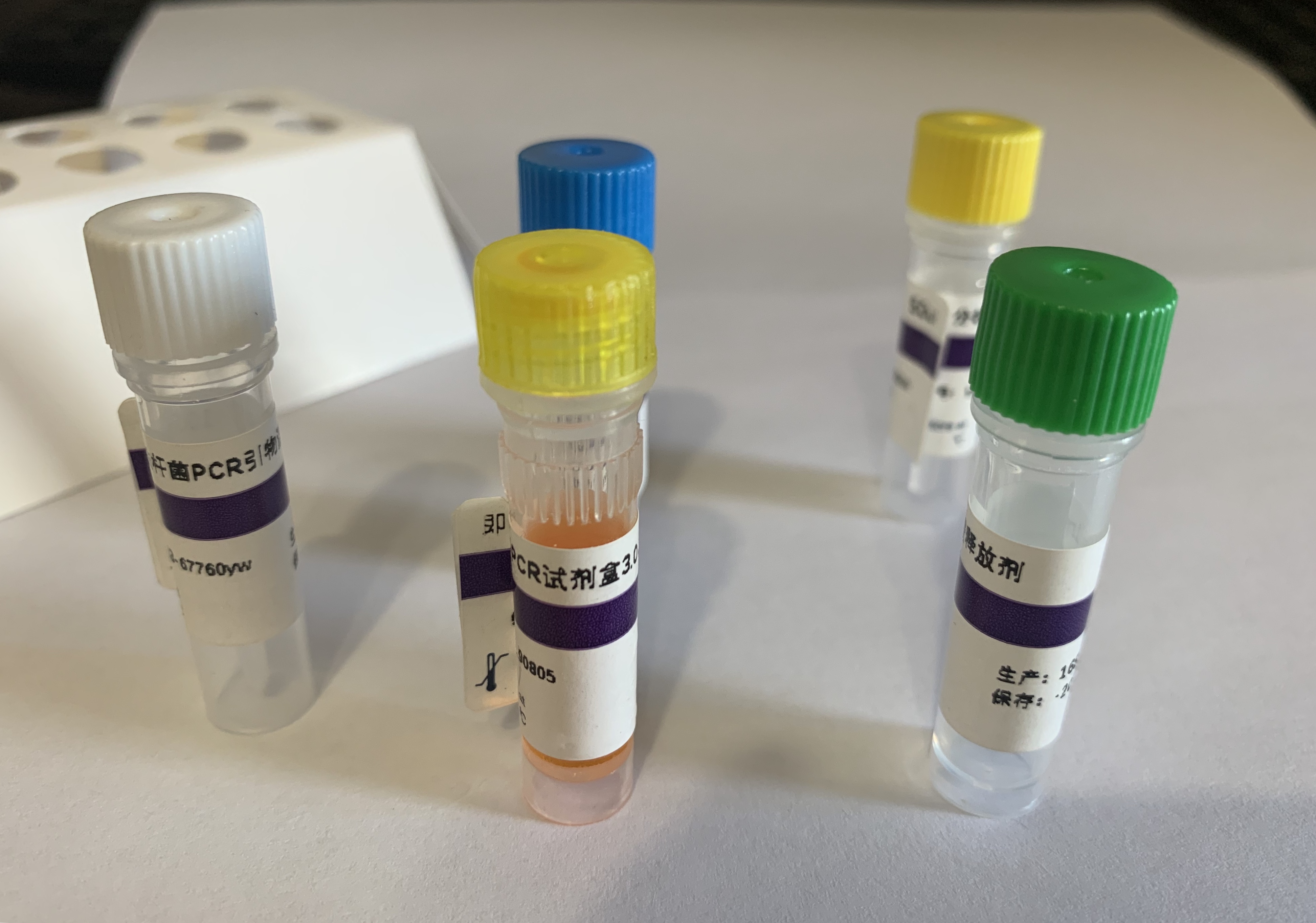 武氏盾螨探针法荧光定量PCR试剂盒