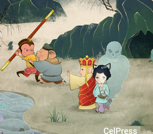 肿瘤免疫大新闻-HLA-E新的免疫检查点