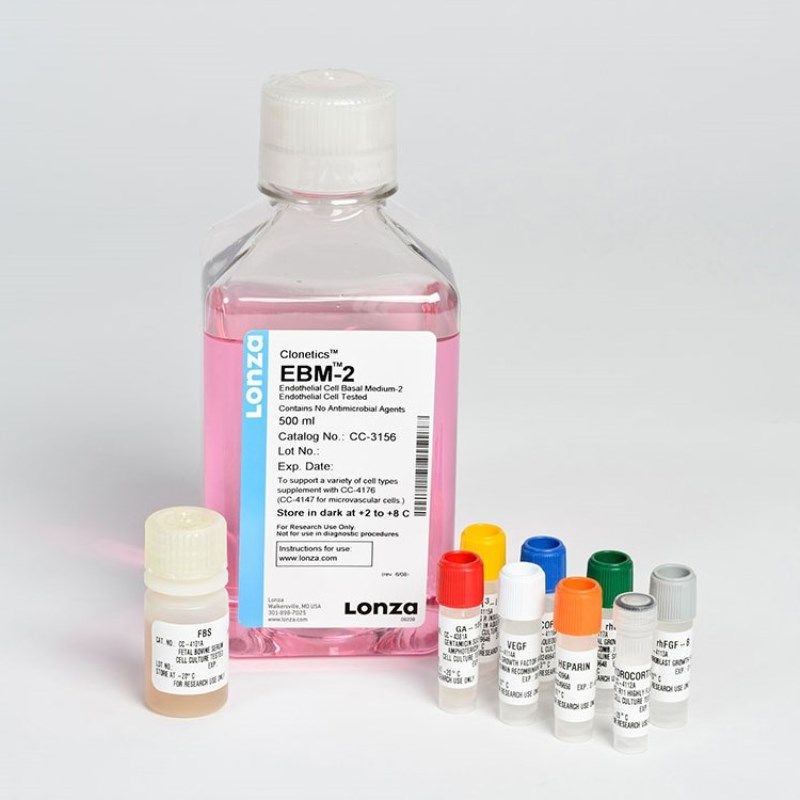 LONZA CC-3162 EGM-2血管内皮细胞培养基套装(CC-3156+CC-4176)