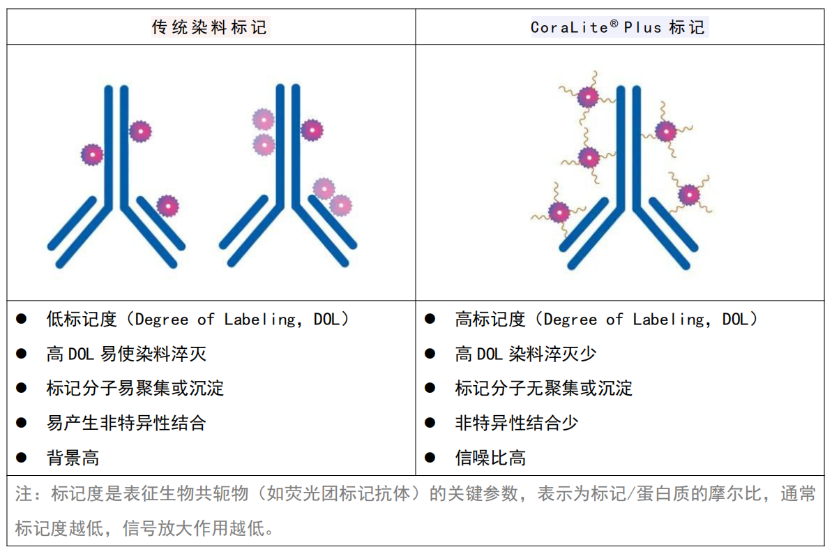 新闻图片3