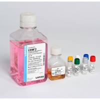 LONZA CC-3202 EGM-2MV微血管内皮细胞培养基套装(CC-3156+CC-4147)