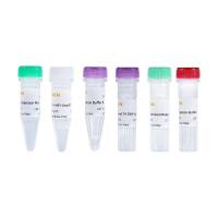 Hieff NGS®甲基化DNA建库试剂盒