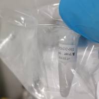 人脂肪间充质干细胞外泌体