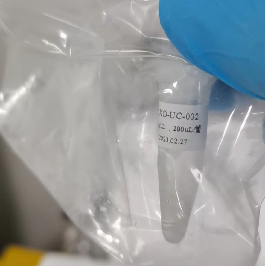 人脐带间充质干细胞外泌体_0.2mg/200ml