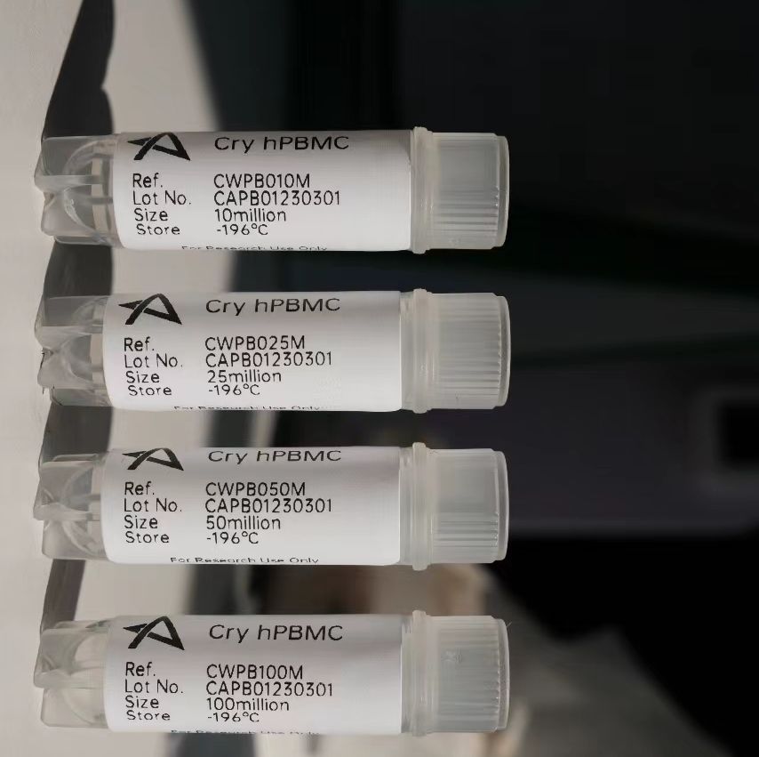 PBMC(外周血单核细胞)13611631389上海雅裕生物/上海睿安生物价格_品牌:YayuBio-丁香通