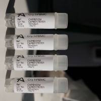 分离外周血单个核细胞PBMC上海雅裕生物/上海睿安生物19121878899