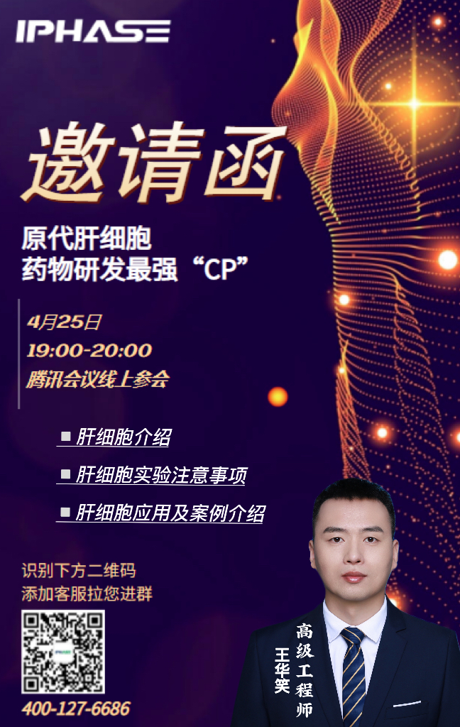 IPHASE课堂开课啦 | 原代肝细胞——药物研发最强“CP”