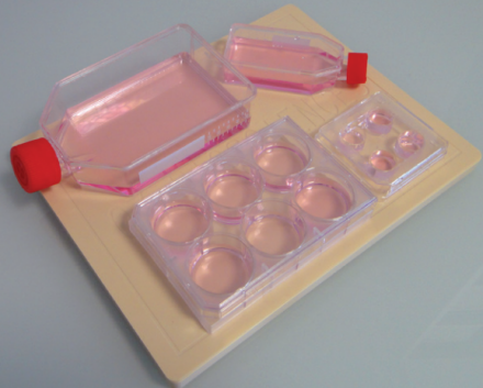 艾美捷超大磁性板（MF14000）解决方案