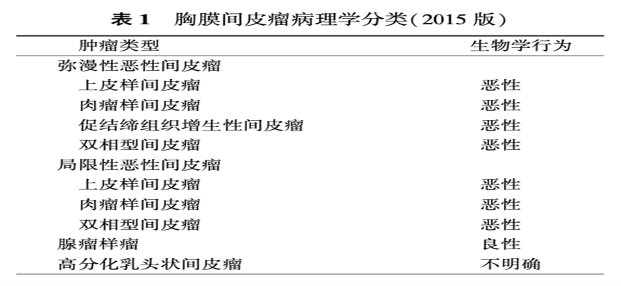 高尚病例：胸膜恶性间皮瘤一例