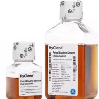 澳洲胎牛血清Australian Origin Foetal Bovine Serum