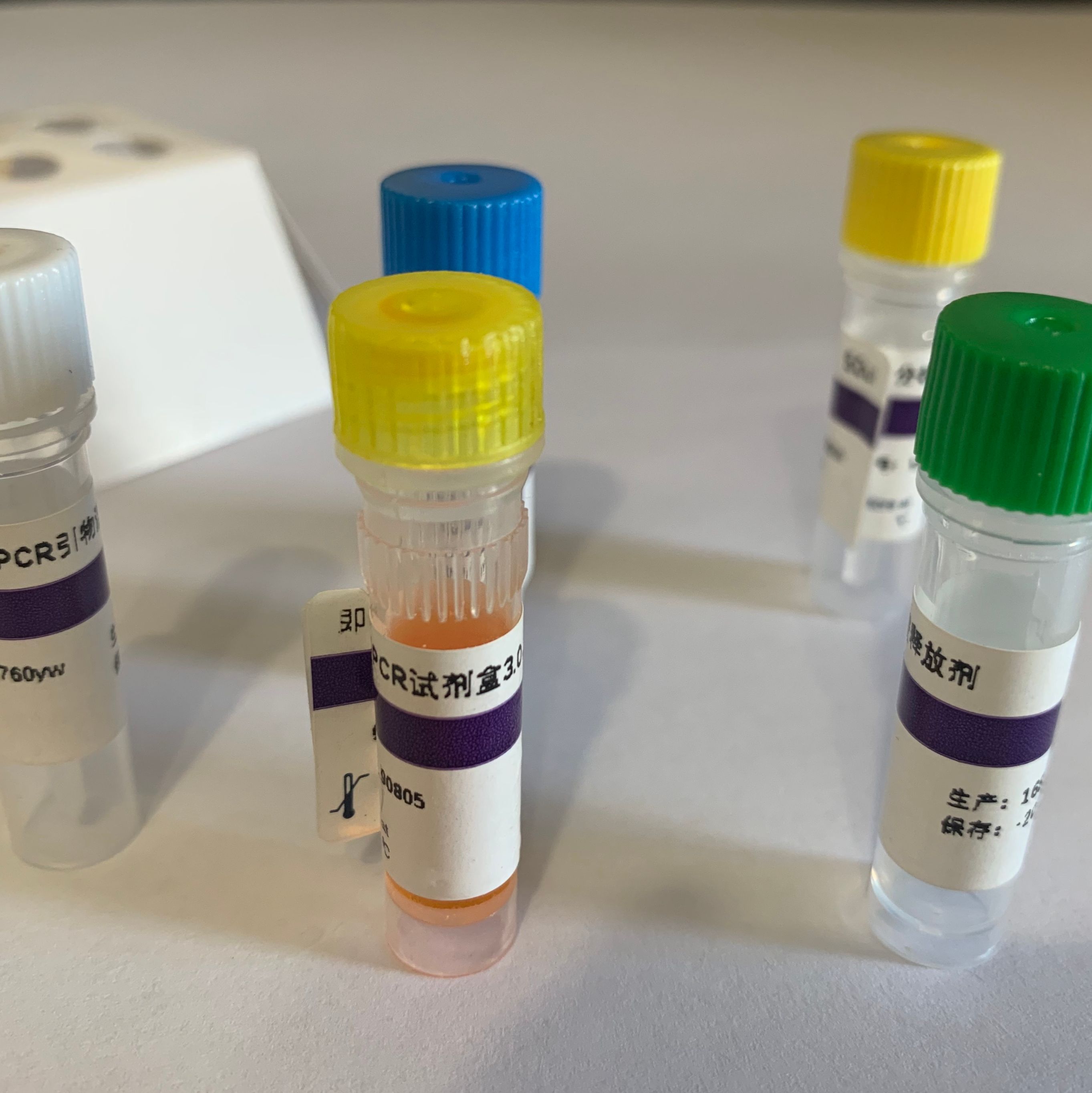 非洲猪瘟病毒探针法荧光定量PCR试剂盒