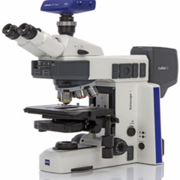 蔡司正置显微镜Axioscope 5