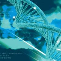 腺相关病毒（AAV）载体/包装/现货