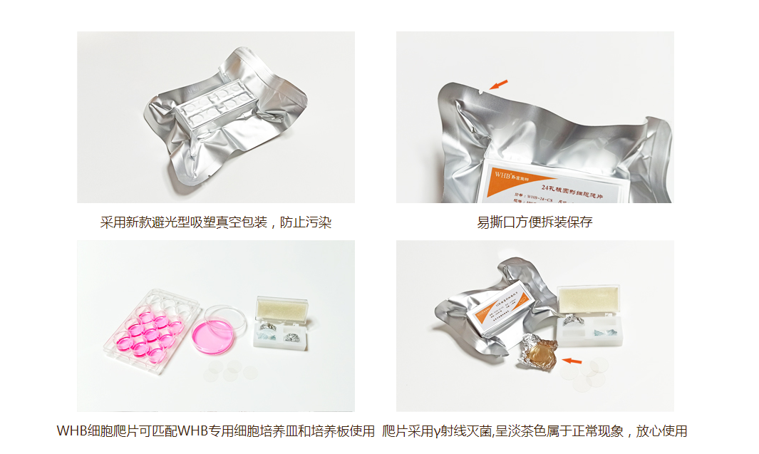 TC处理48孔板圆形细胞爬片(8mm),灭菌