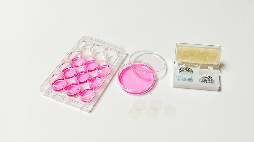 TC处理48孔板圆形细胞爬片(8mm),灭菌