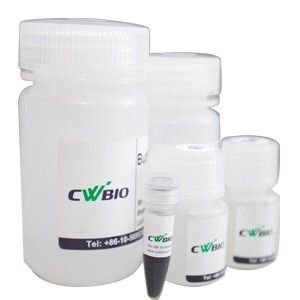 CWE2100 磁珠法血液DNA小量提取试剂盒 (0.3-1.0 mL)