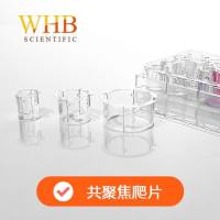 TC处理12孔板共聚焦爬片（黑色，Φ17mm），吸塑盒，灭菌