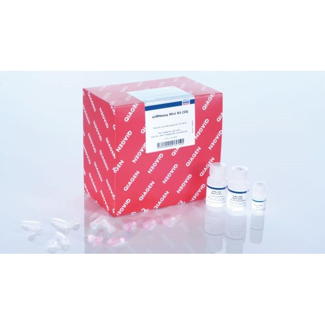 凯杰Qiagen217004 miRNA和总RNA纯化试剂盒miRNeasy Mini Kit 50T