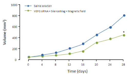 中英文介绍丨艾美捷IN VIVO SILENCEMAG TRIAL试剂盒