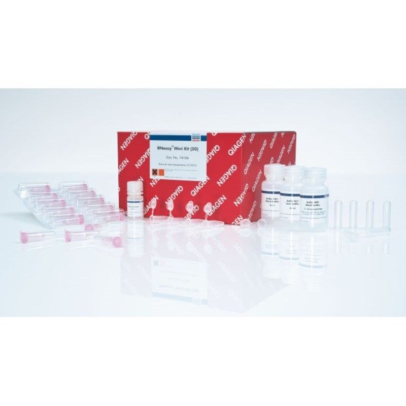 凯杰Qiagen74104/74106总RNA小提试剂盒RNeasy Mini Kit 50T,250T