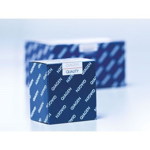 凯杰Qiagen201223PCR核心试剂盒Taq PCR Core Kit 250T/盒