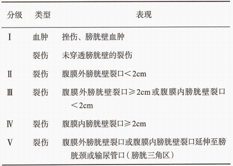 图片预览