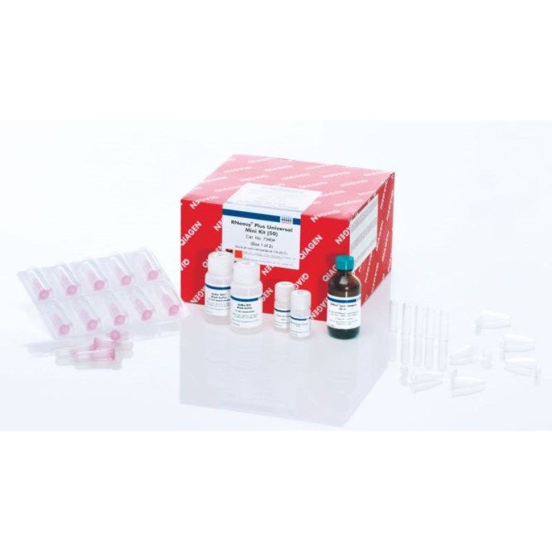 凯杰Qiagen73404通用总RNA提取试剂盒RNeasy Plus Universal Mini Kit 50T