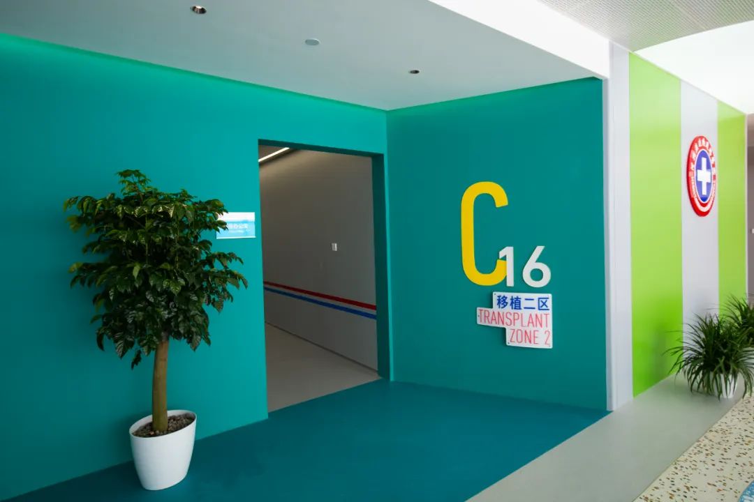 团结一心启征程 踔厉奋进向光明 | 河北燕达陆道培医院举办十一周年院庆