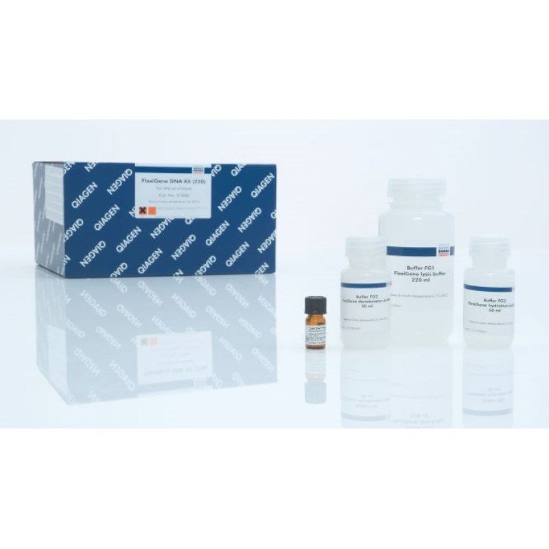 凯杰Qiagen51206全血白膜层/培养细胞基因组DNA提取试剂盒FlexiGene DNA Kit 250T/盒